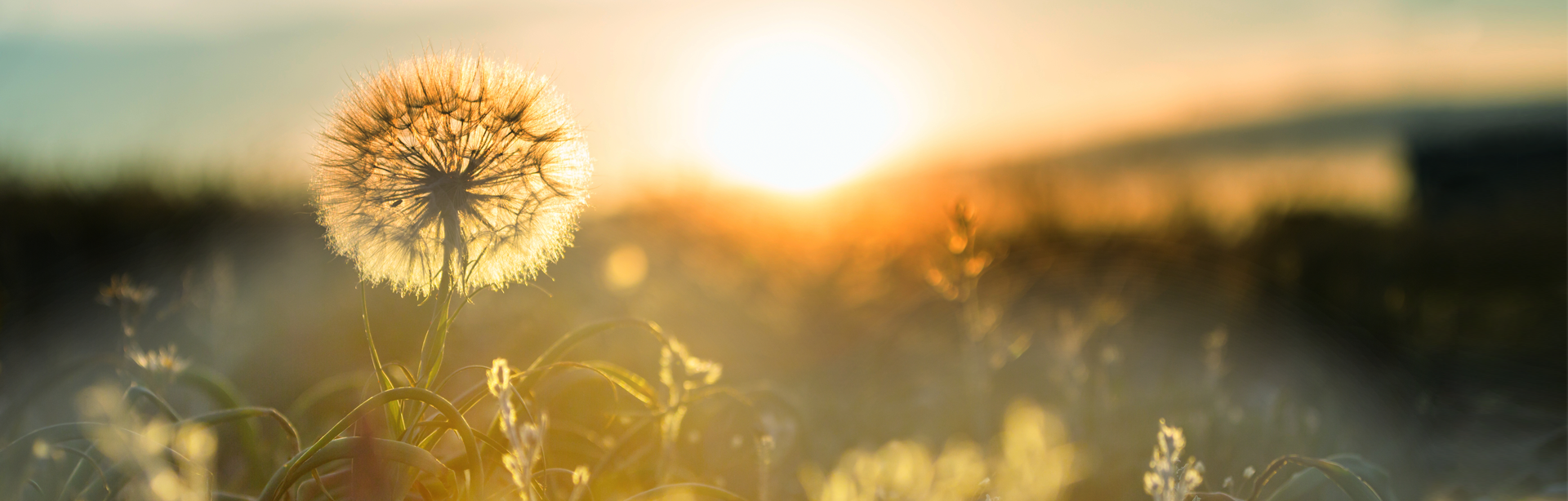 국내 교육훈련 소개 이미지